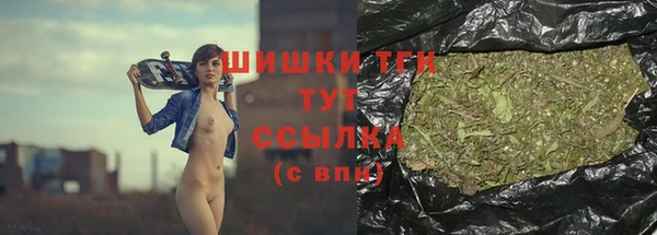 тгк Аркадак