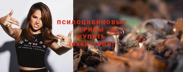 тгк Аркадак